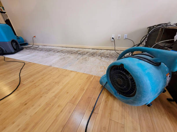 Professional Burst Pipe Water Damage technician working in Bridgeton, NC